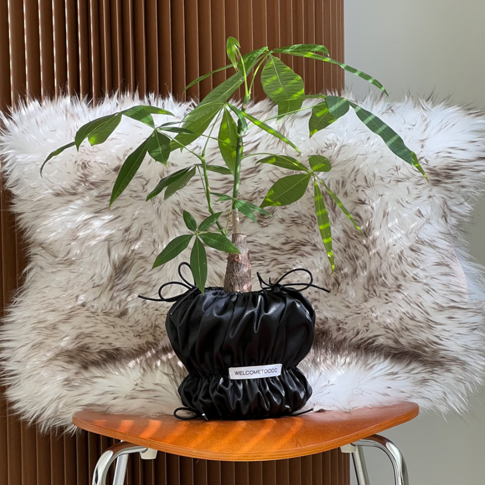 PouPouPot - Pupu Black